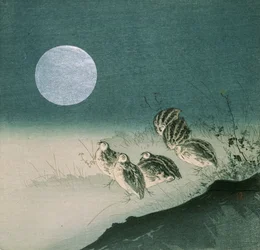 Cailles et pleine lune, début des années 1900